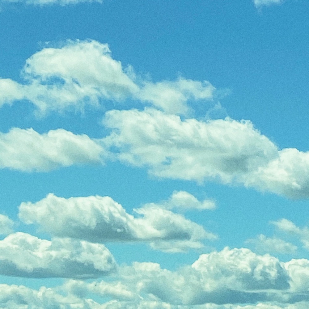 Meet your Posher, Kylie